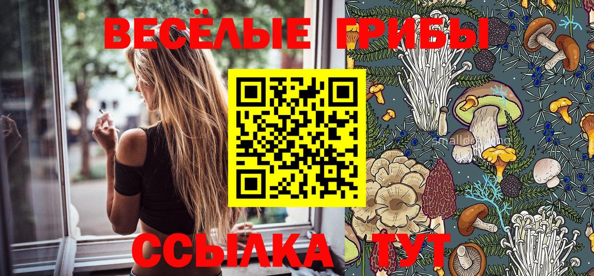 Галлюциногенные грибы прущие грибы Всеволожск