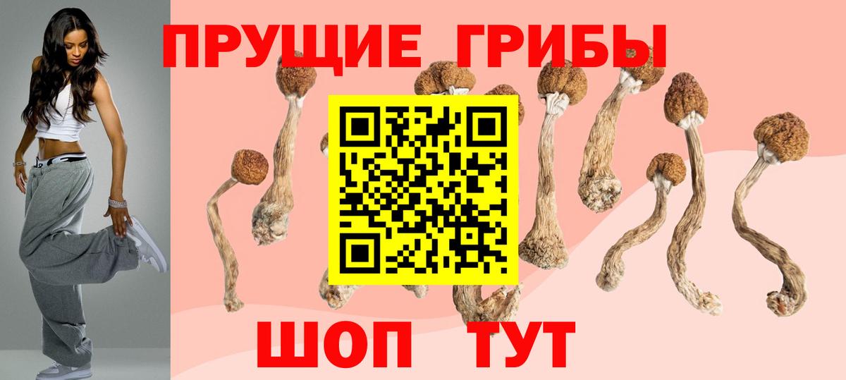 Галлюциногенные грибы Cubensis  Вход с VPN  Всеволожск 